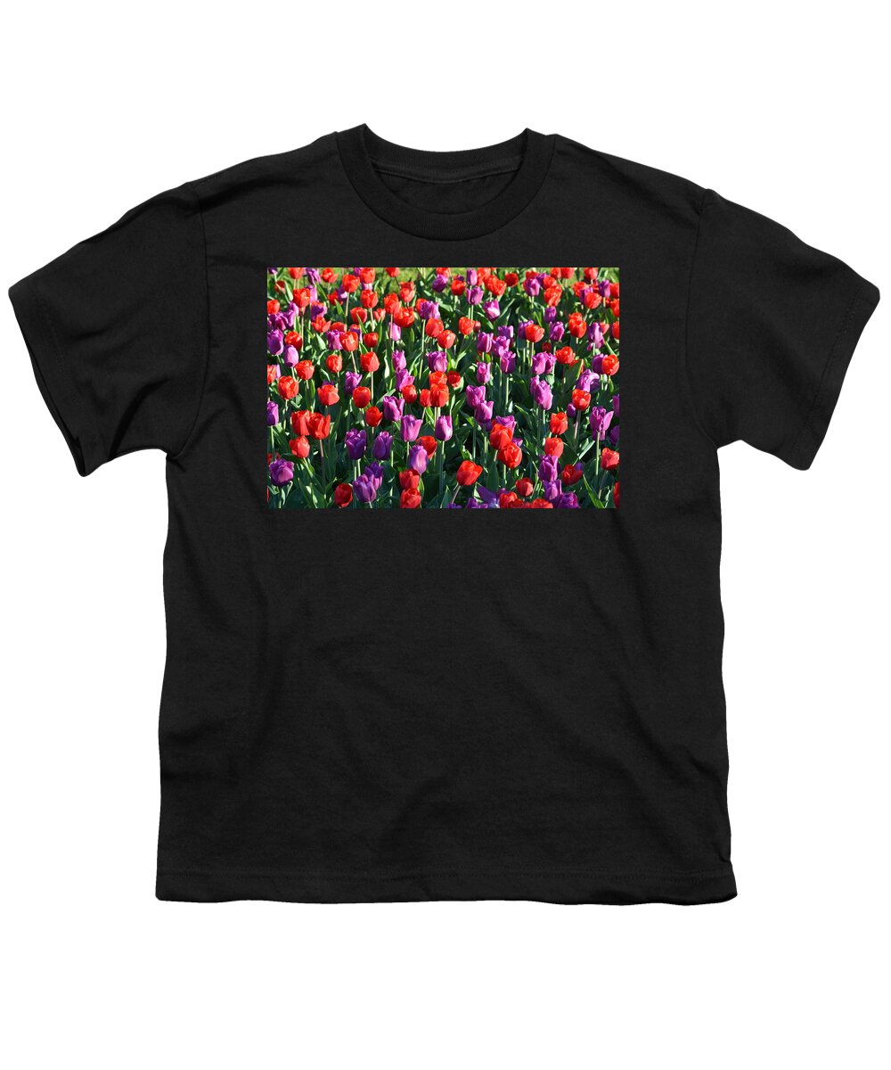 Tulips Youth T-Shirt featuring the photograph Bed of Tulips by Toby McGuire