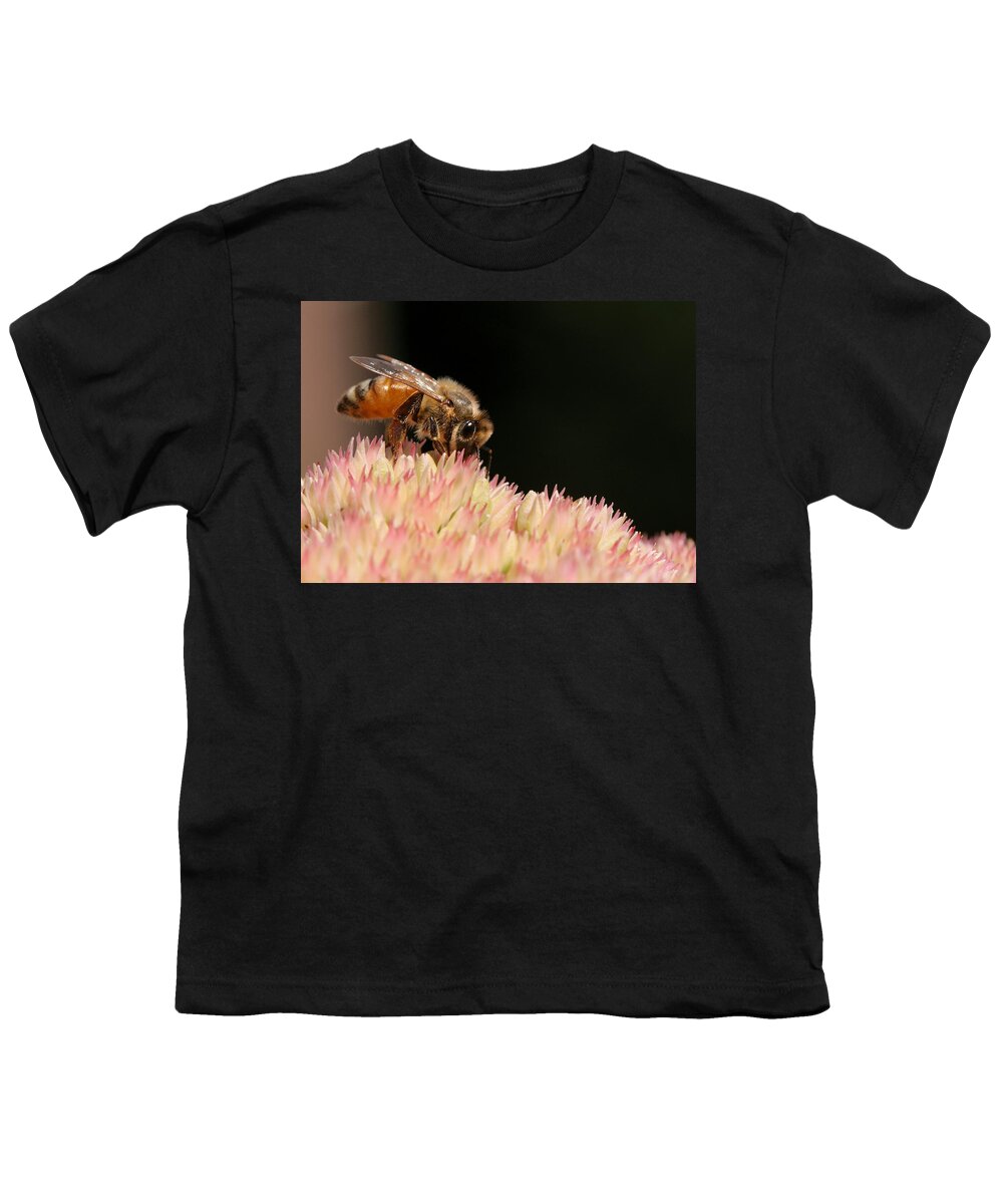 Bee Youth T-Shirt featuring the photograph Bee on Flower 2 by Angela Rath