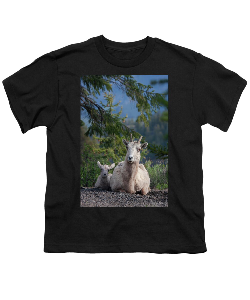 Mark Miller Photos Youth T-Shirt featuring the photograph Bighorn Sheep Family by Mark Miller