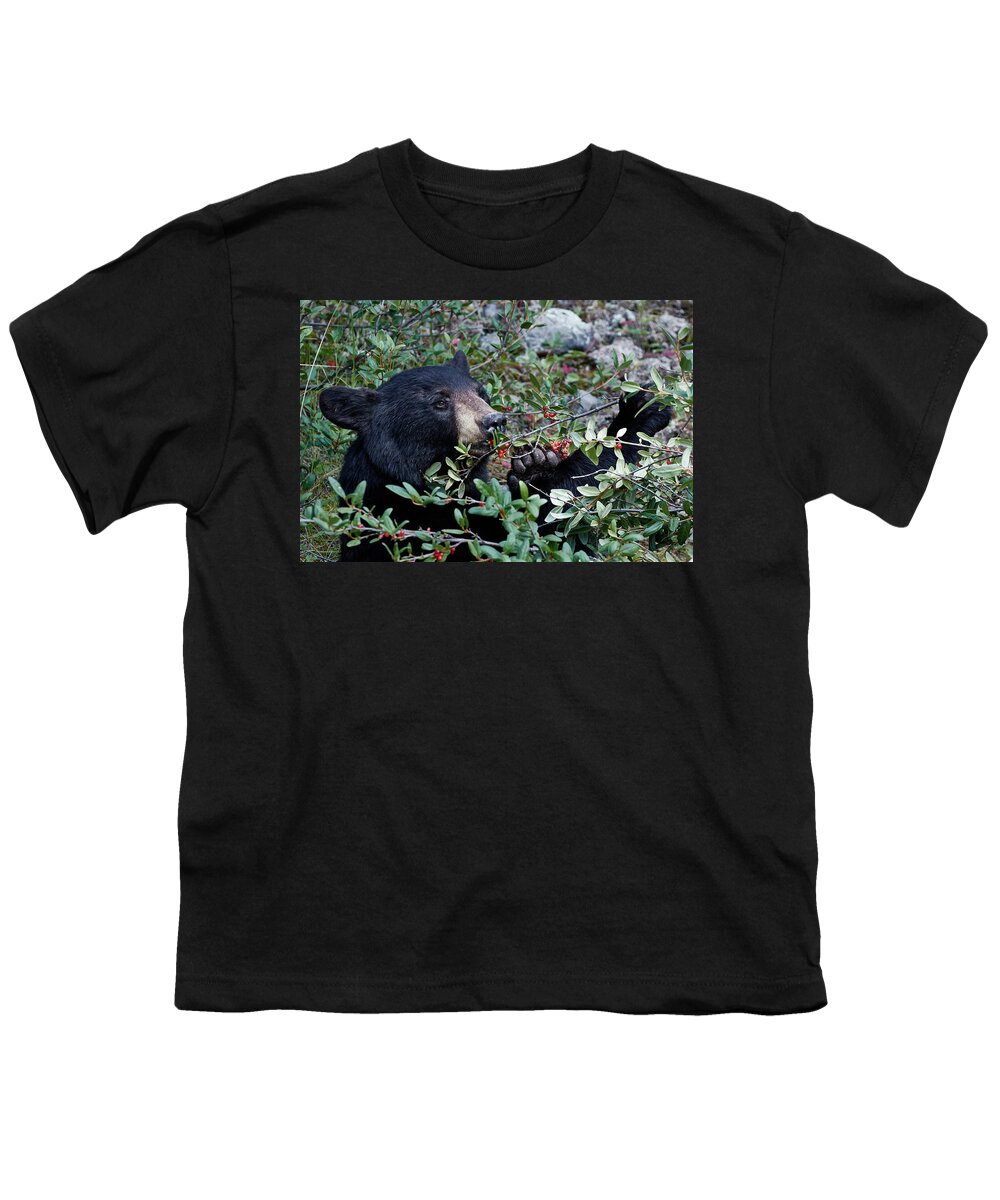 Canada Youth T-Shirt featuring the photograph Black Bear vs Buffaloberries 2 by David Beebe
