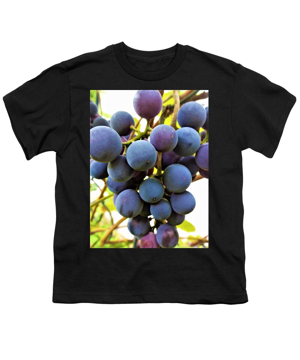 Grapes Youth T-Shirt featuring the photograph Blue Grapes by Cristina Stefan