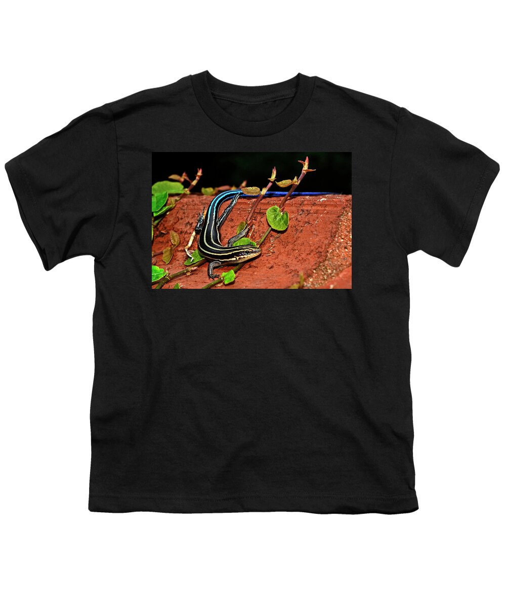 Reptile Youth T-Shirt featuring the photograph Blue-Tail Skink 010 by George Bostian