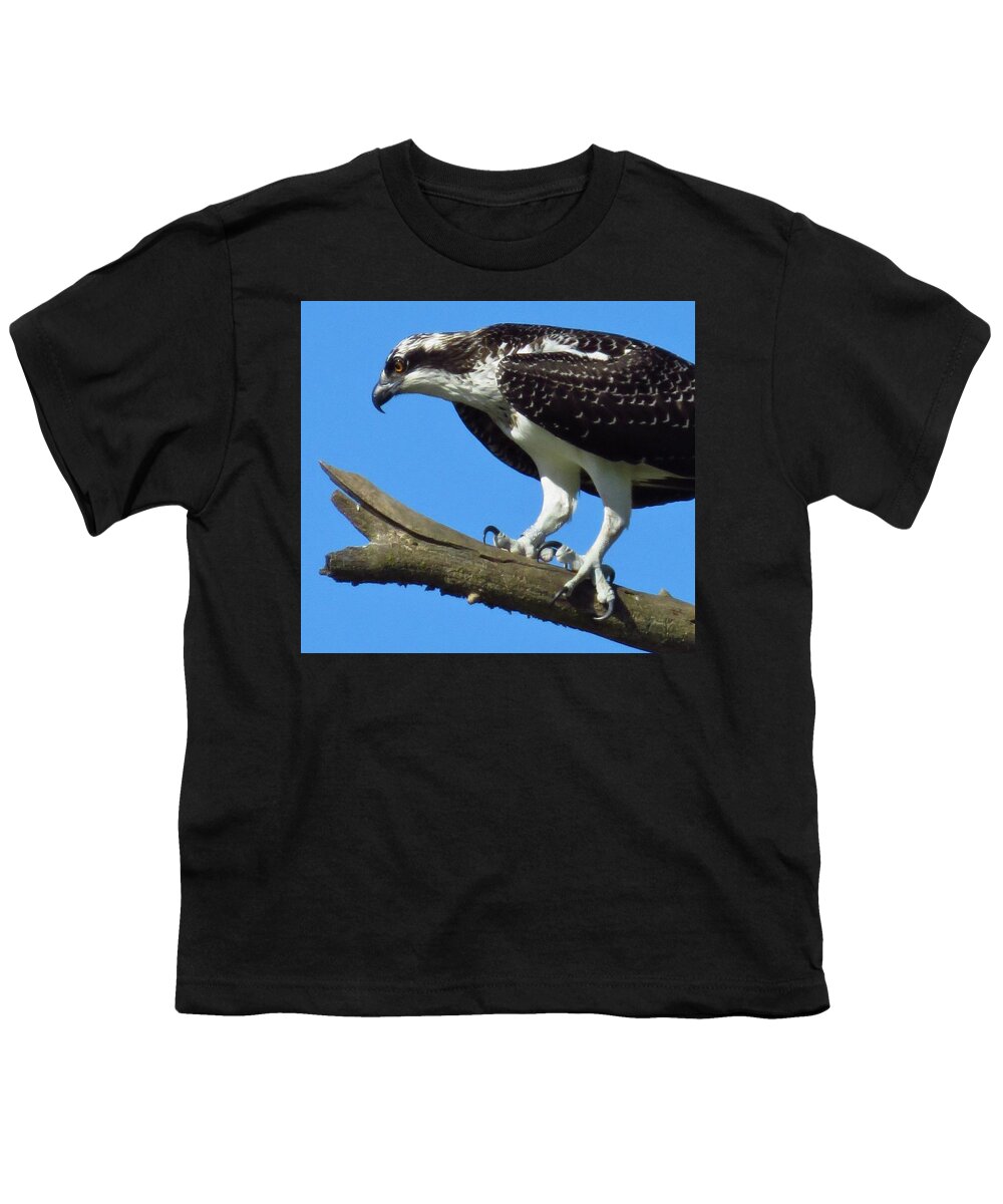 Osprey Youth T-Shirt featuring the photograph Branching Out by Lori Frisch