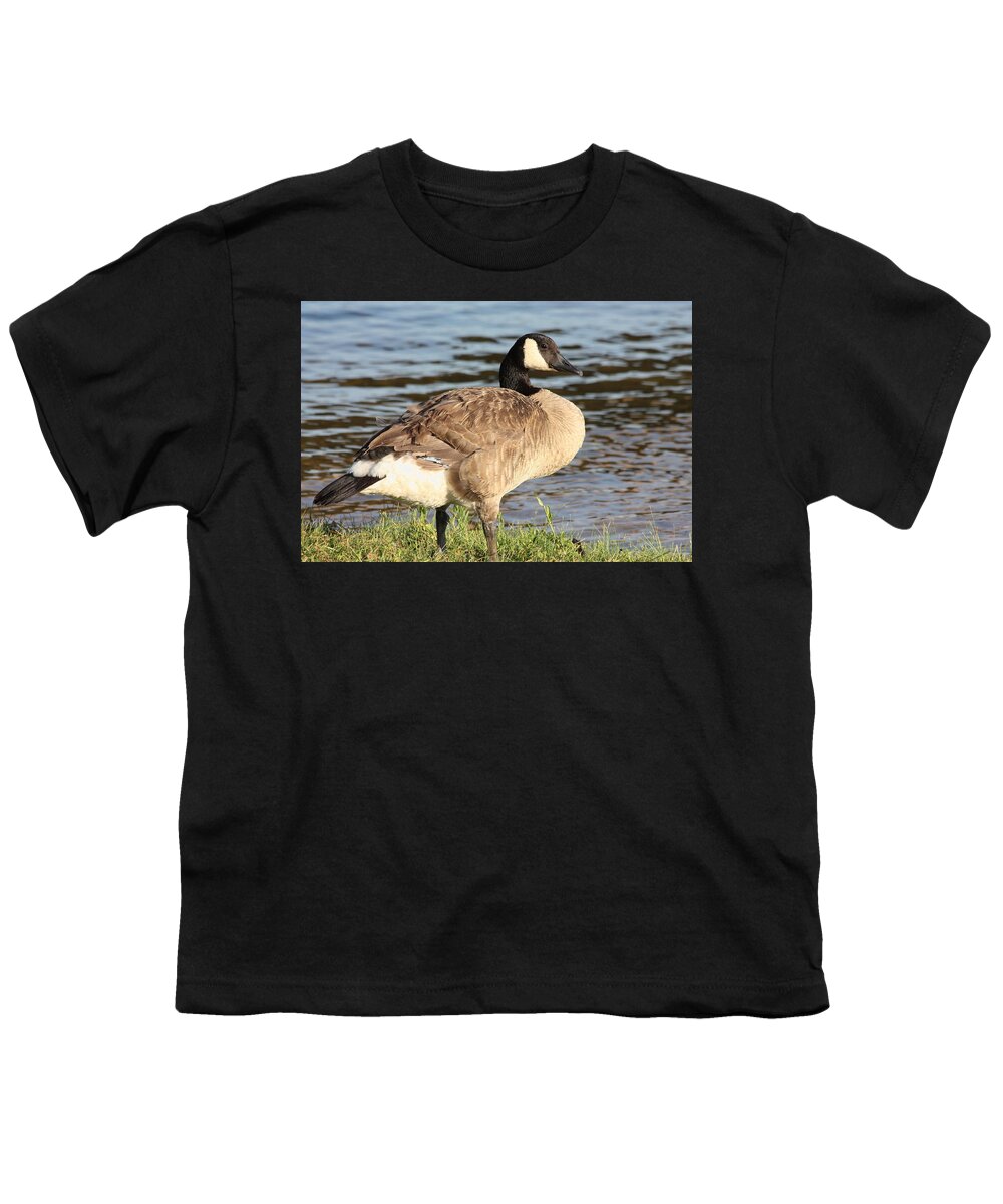 Nature Youth T-Shirt featuring the photograph Canada Goose Standing at Waters Edge by Sheila Brown