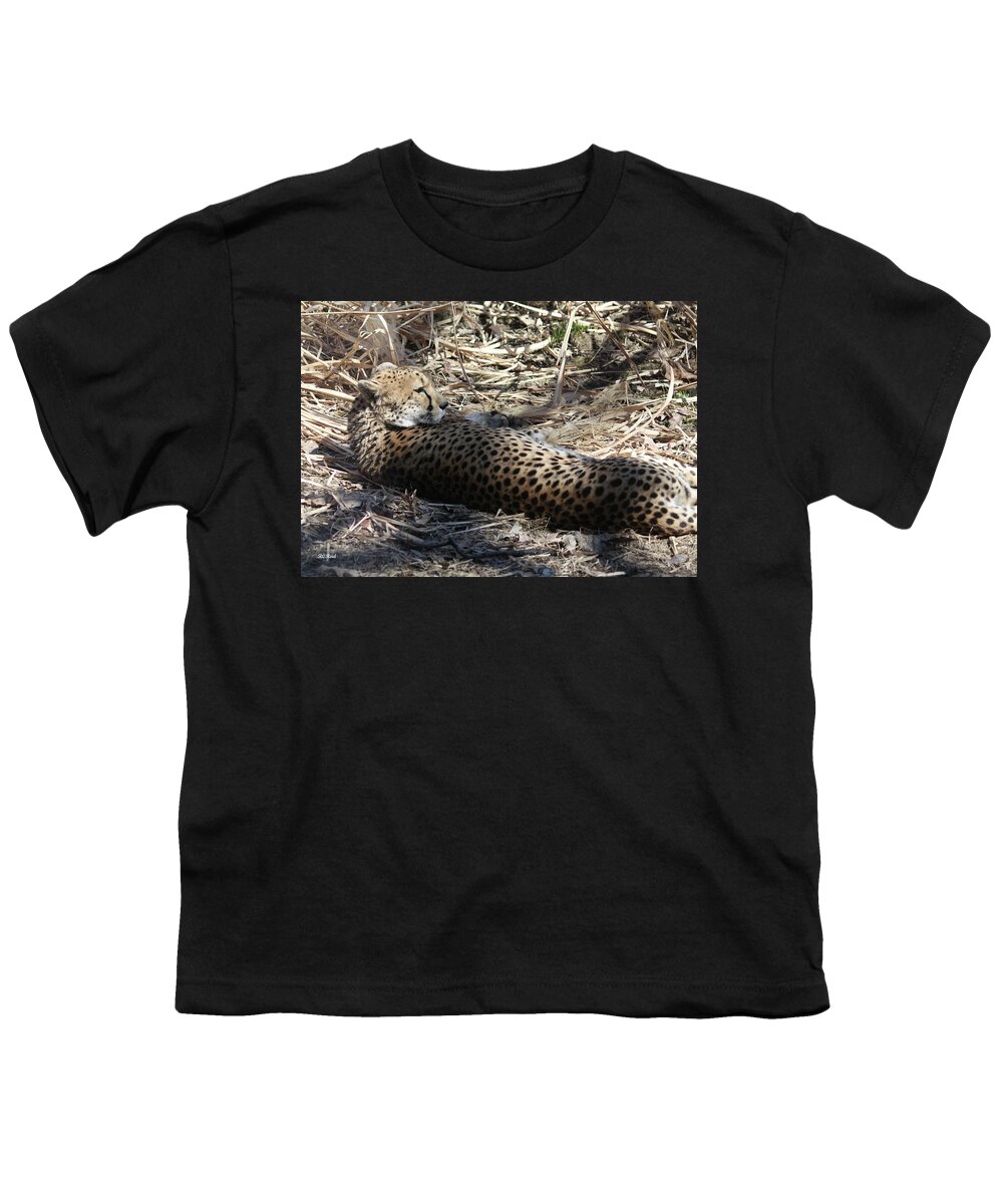 Maryland Youth T-Shirt featuring the photograph Cheetah Awakened by Ronald Reid