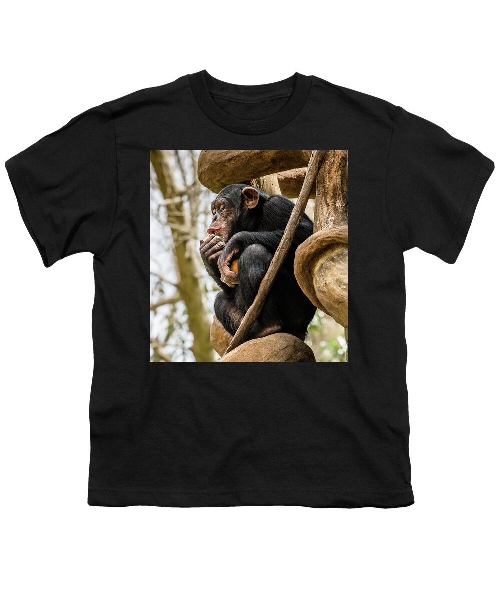 Chimpanzee Youth T-Shirt featuring the photograph Chimpanzee, NC Zoo by Cynthia Wolfe