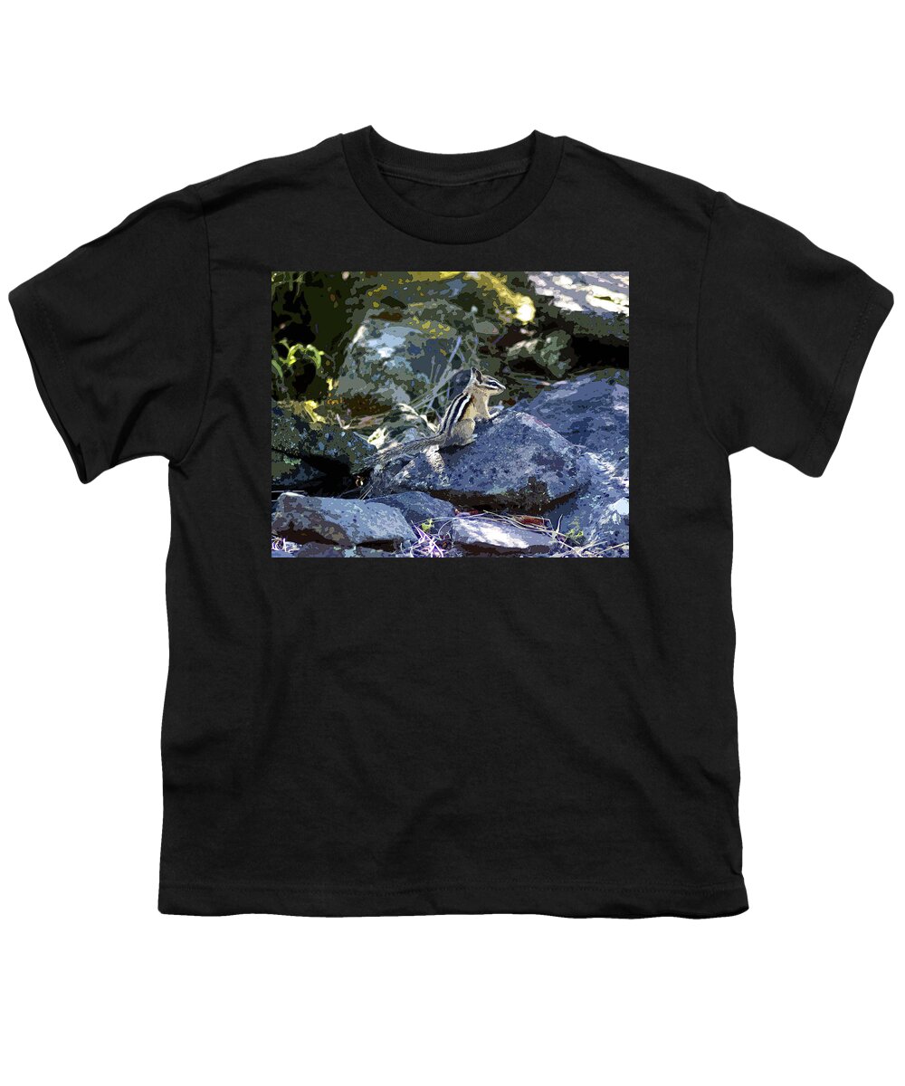 Chipmunk Youth T-Shirt featuring the photograph Chipmunk Art #1 by Ben Upham III