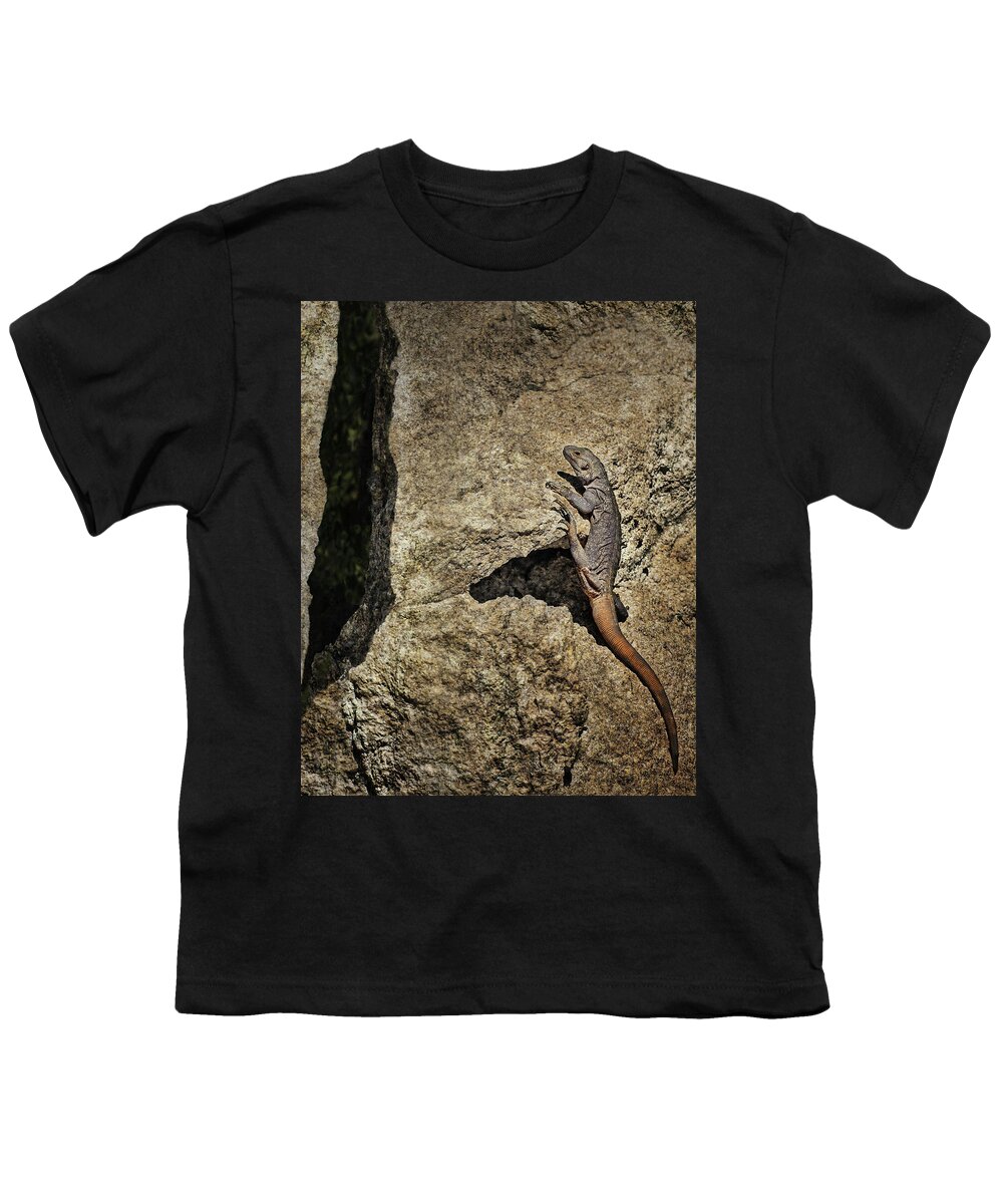 Lizard Youth T-Shirt featuring the photograph Chuckwalla - Crevice by Nikolyn McDonald