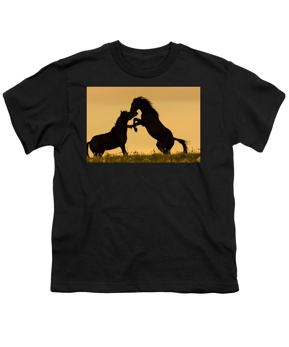 Mark Miller Photos Youth T-Shirt featuring the photograph Clash of Titans Wild Stallions by Mark Miller