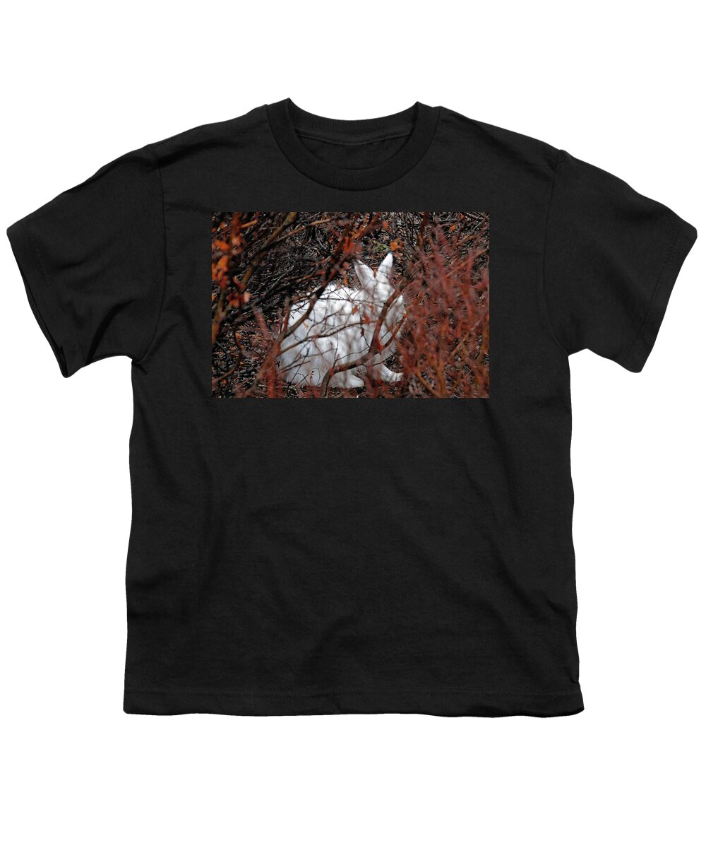 Climate-change Youth T-Shirt featuring the photograph Climate-Change-Hindered Hiding Hare by Ted Keller