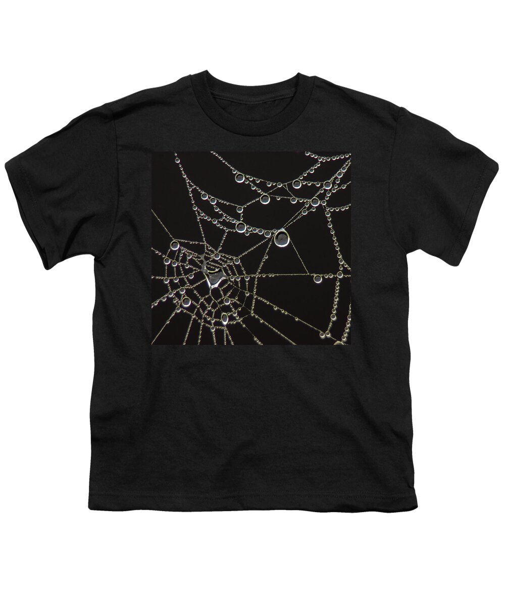 Spider Web Youth T-Shirt featuring the photograph Connect the Dots by Bill Pevlor