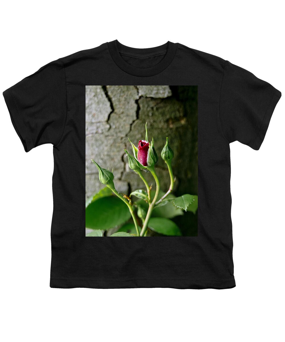 Flower Youth T-Shirt featuring the photograph Coquette. by Elena Perelman