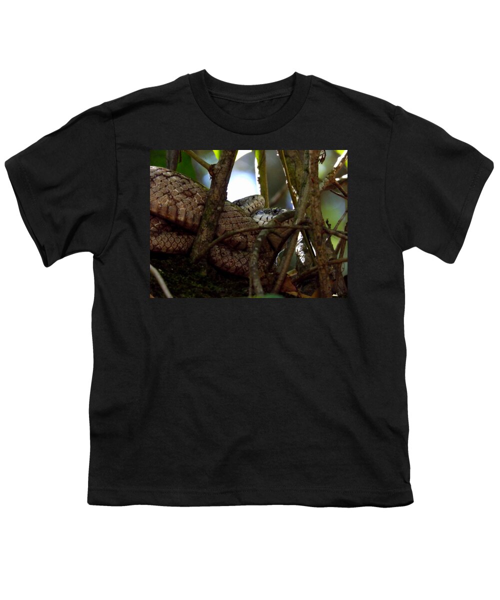 Snake Youth T-Shirt featuring the photograph Cuddle Time by Julie Pappas