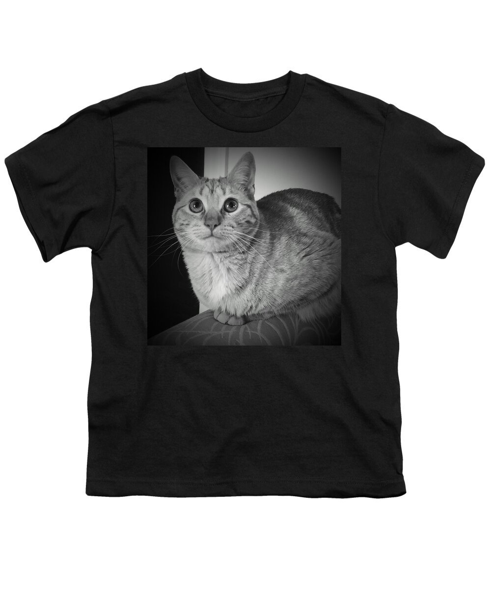 Tabby Youth T-Shirt featuring the photograph Daisy by Kathy Barney