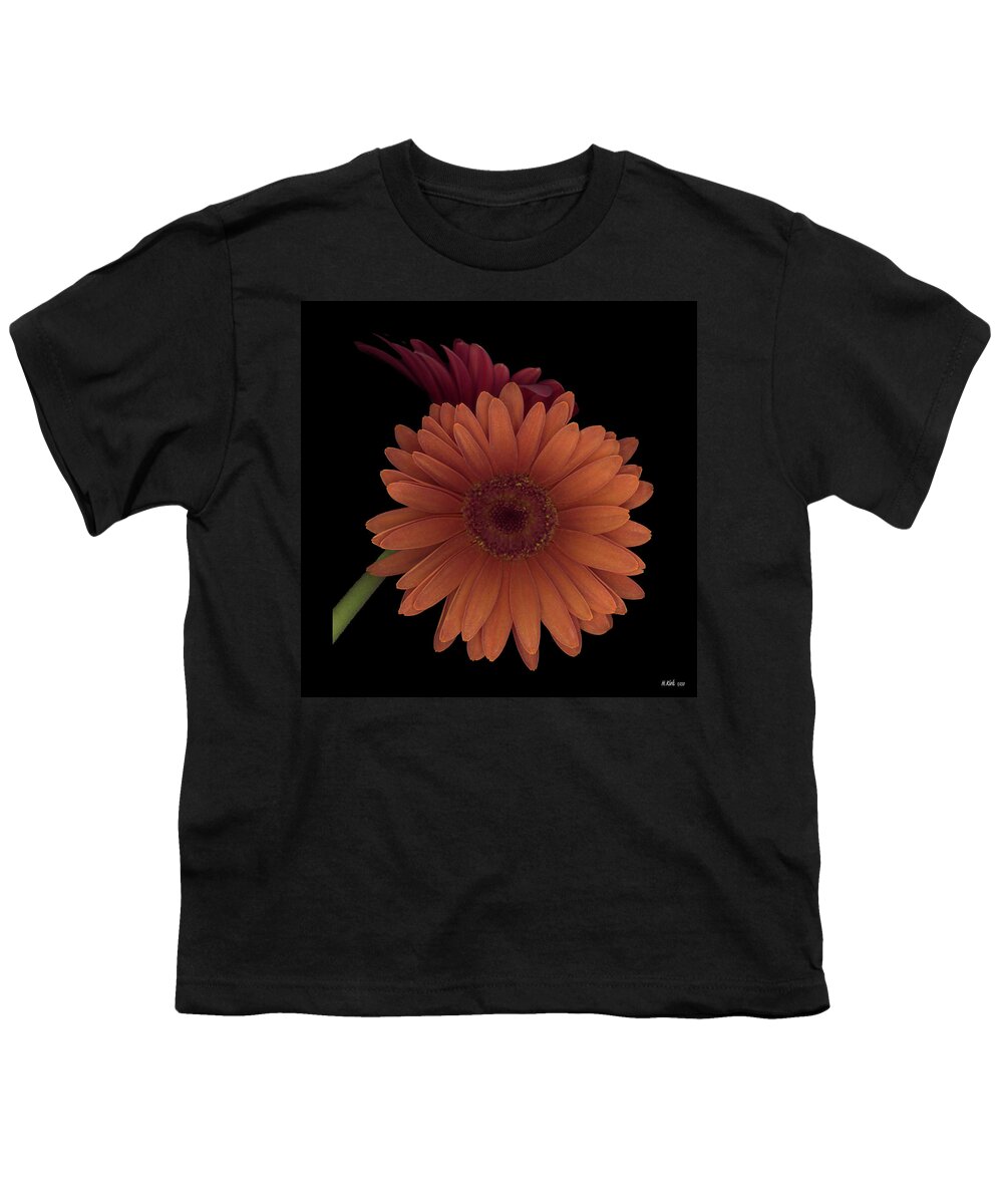 Gerber Youth T-Shirt featuring the photograph Daisy Tilt by Heather Kirk