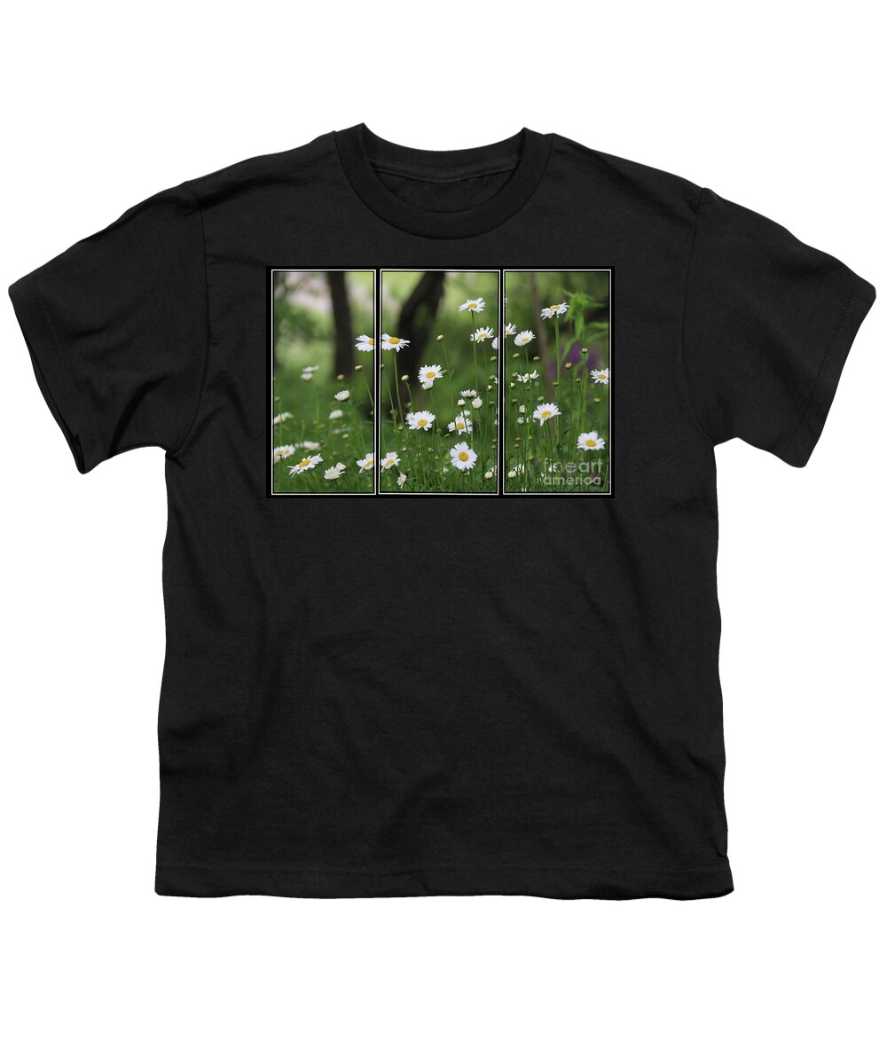 Daisy Youth T-Shirt featuring the photograph Daisy Triptych panel by Yumi Johnson