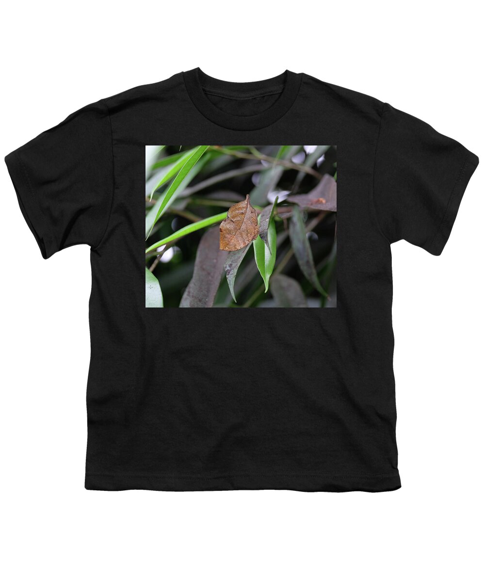 Deadleaf Butterfly Youth T-Shirt featuring the photograph Deadleaf butterfly closed by Ronda Ryan
