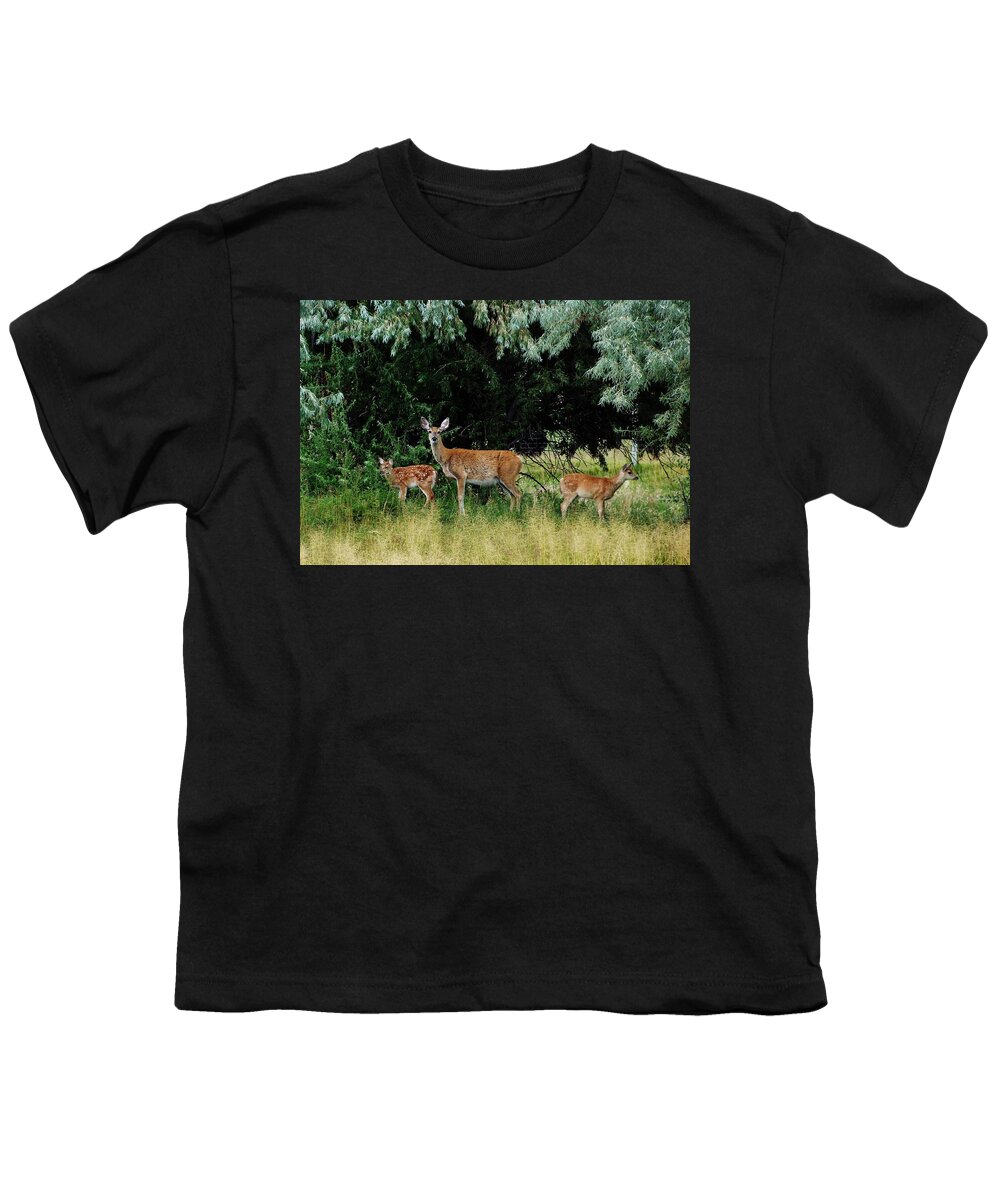 White Tail Deer Youth T-Shirt featuring the photograph Deer Mom by Larry Campbell