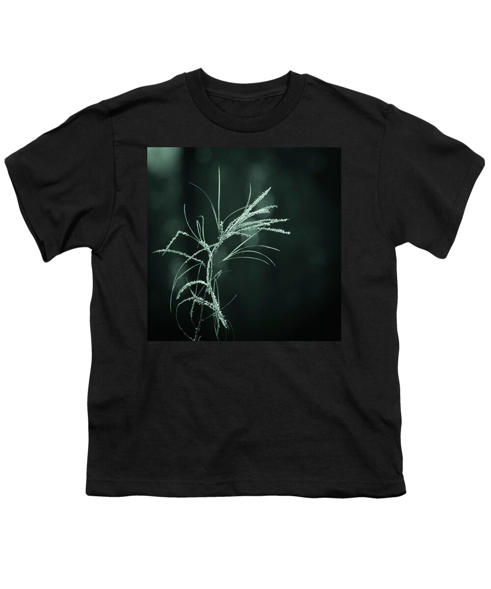 Dream Catcher Youth T-Shirt featuring the photograph Dream Catcher by Mary Amerman