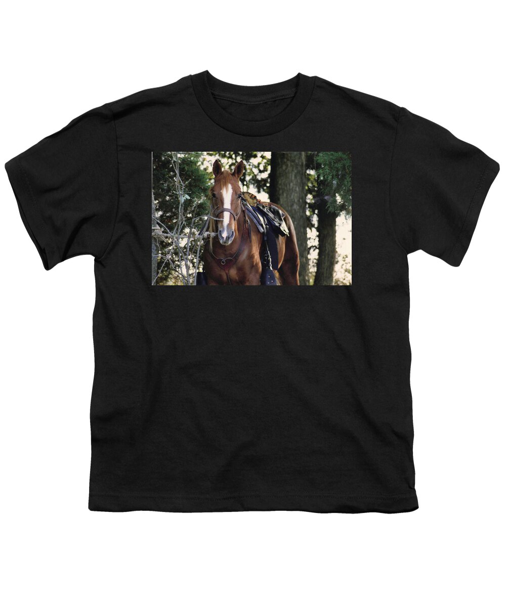 Horse Youth T-Shirt featuring the photograph Eye Contact by Stacy C Bottoms