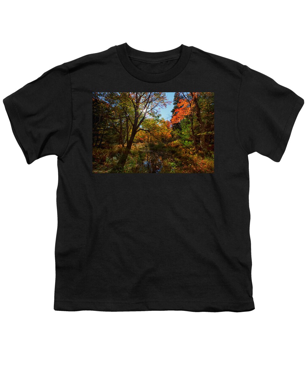 Kelly River Wilderness Youth T-Shirt featuring the photograph Fall Meadow And Sunburst by Irwin Barrett