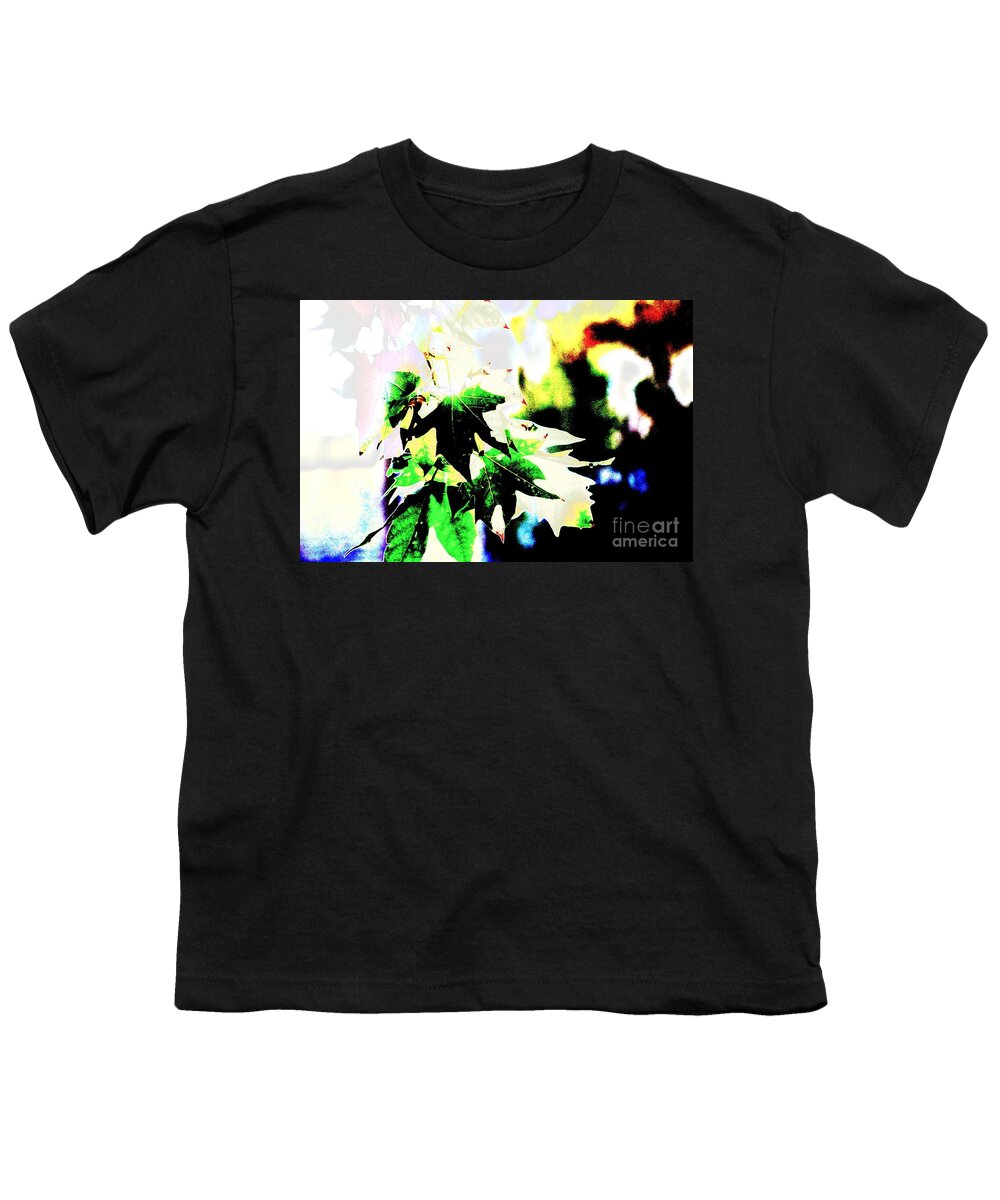 Leaf Youth T-Shirt featuring the photograph Fall Overture by Jenny Revitz Soper