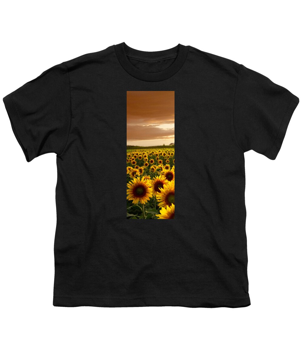 American Youth T-Shirt featuring the photograph Fields of Gold Triptek Left Side by Debra and Dave Vanderlaan