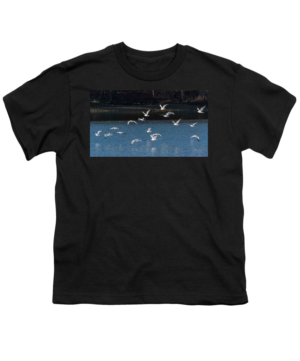 Wildlife Youth T-Shirt featuring the photograph Flock Of Them by John Benedict