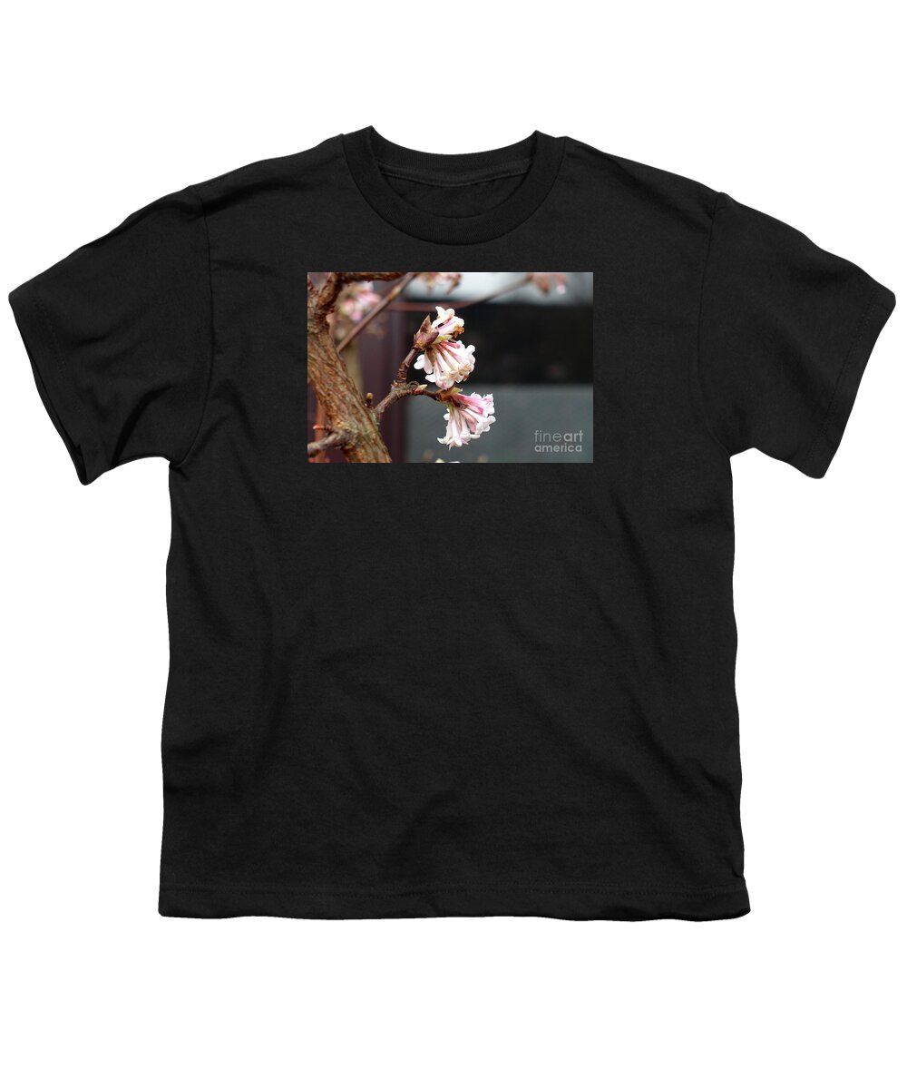 Flower Youth T-Shirt featuring the photograph Flowering in December by Eva-Maria Di Bella