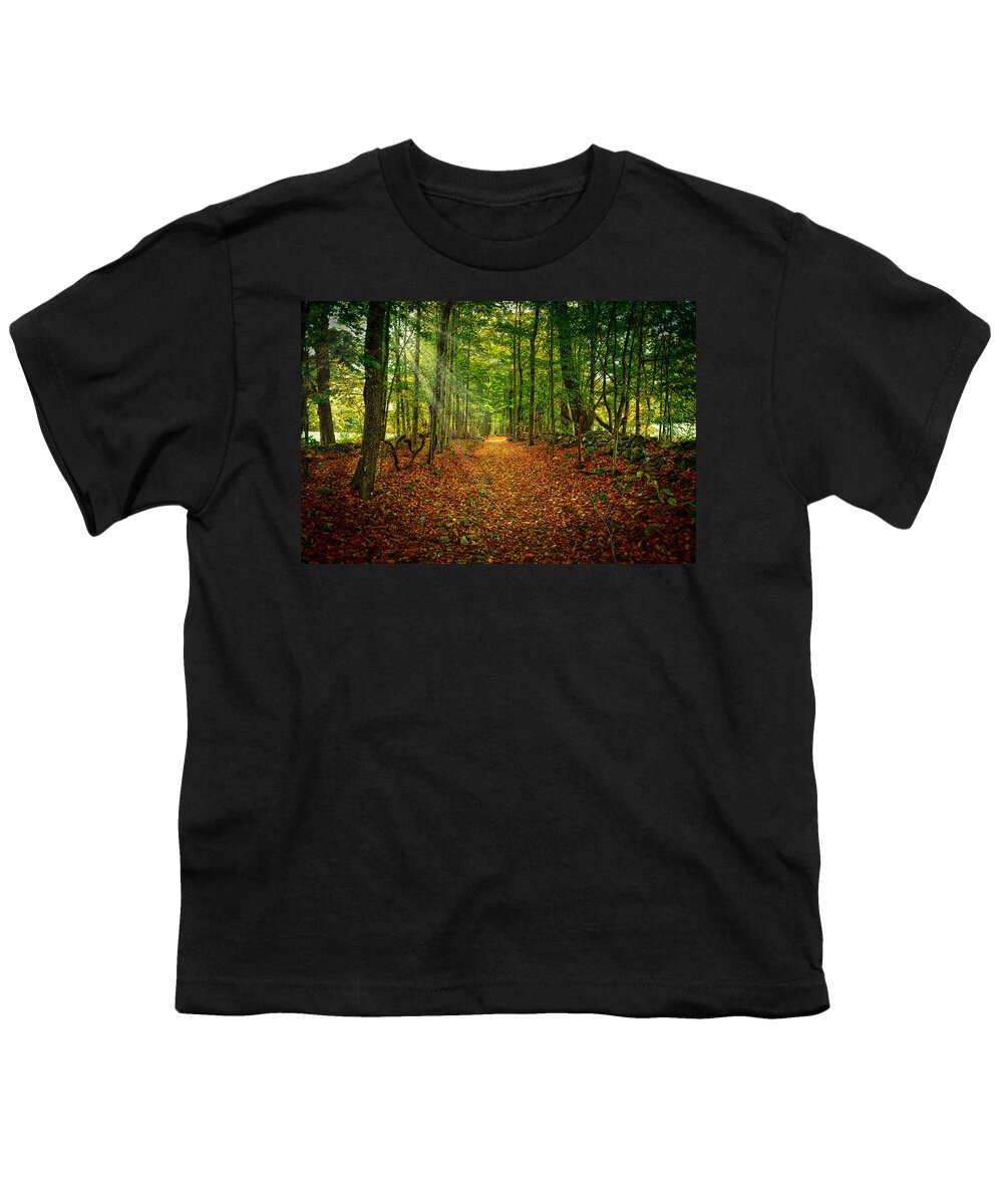 Greylock Mountain Youth T-Shirt featuring the photograph Follow the Yellow Leaf Road by Richard Gehlbach