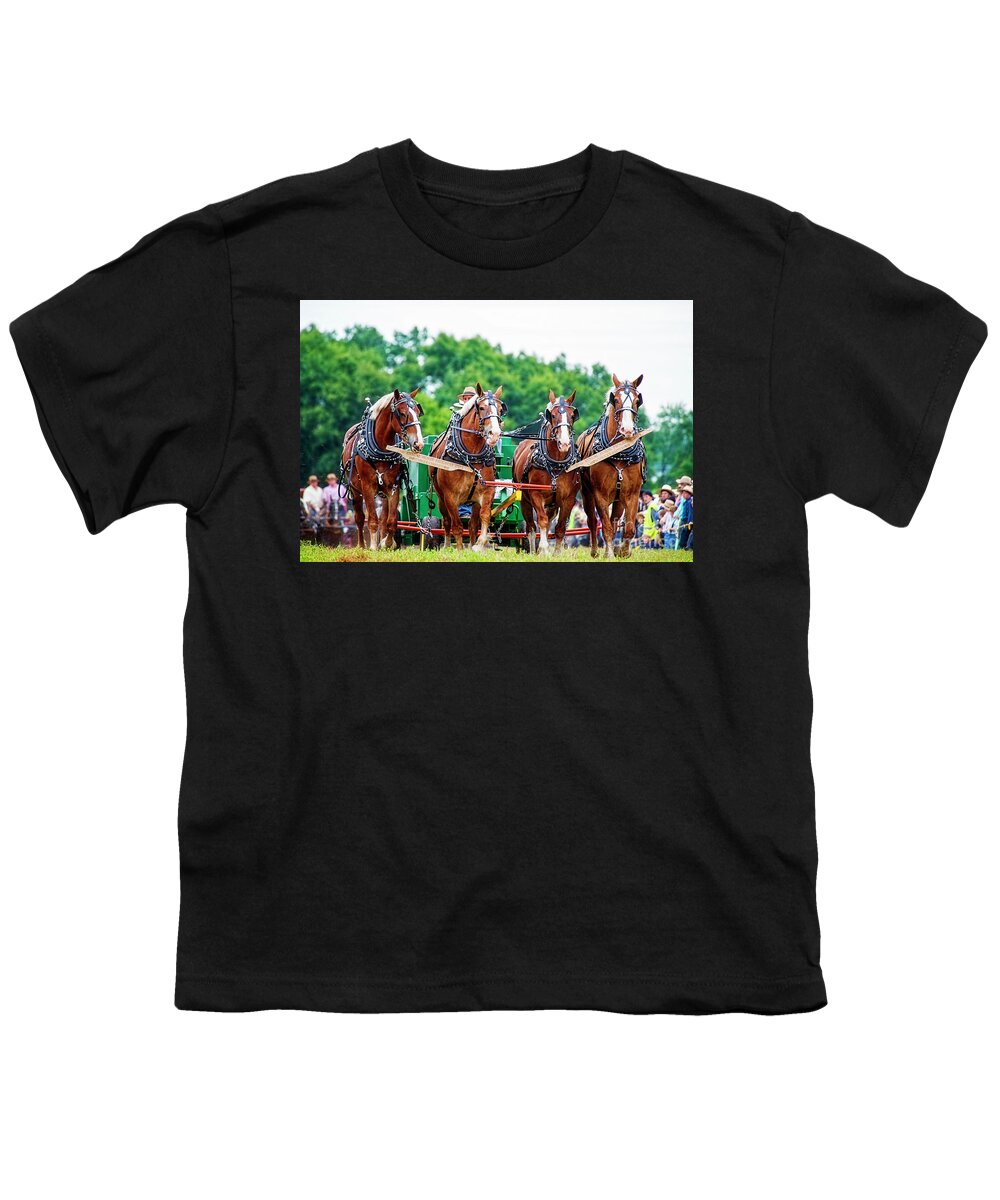 Work Horses Youth T-Shirt featuring the photograph Four Beauties at Horse Progress Days by David Arment