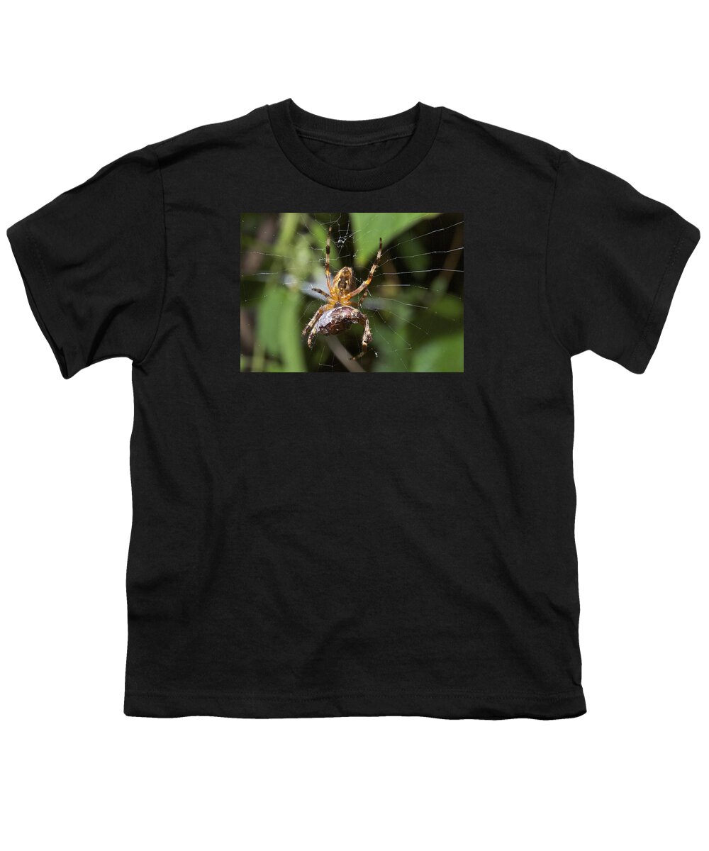 Spider Youth T-Shirt featuring the photograph Garden Spider with a June Bug by Michael Peychich