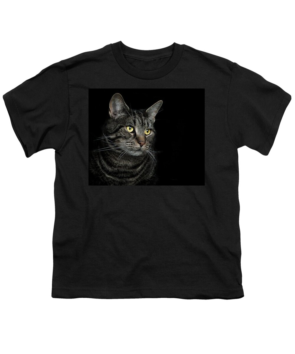 Cat Youth T-Shirt featuring the photograph Gaze by Paul Neville