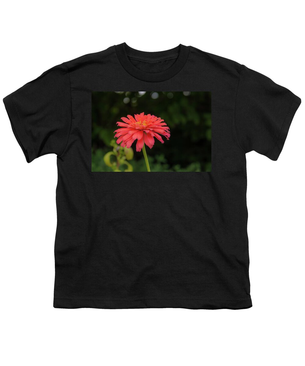 Flower Youth T-Shirt featuring the photograph Gerbera Daisy by Pamela Williams