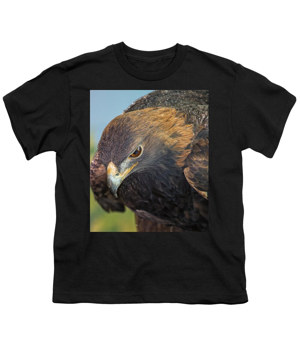 Eagle Youth T-Shirt featuring the photograph Golden Eagle by Bill and Linda Tiepelman
