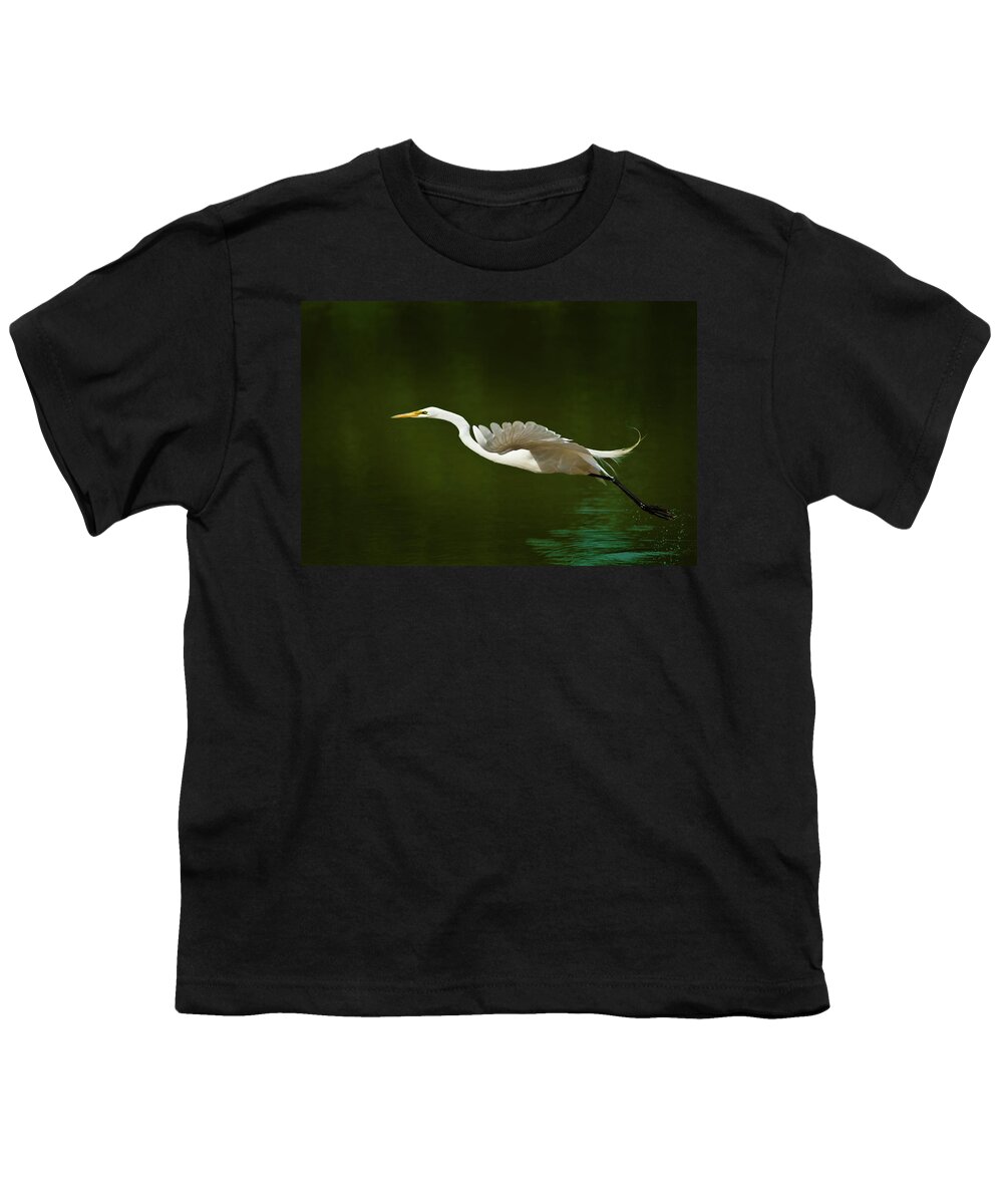 Great Egret Youth T-Shirt featuring the photograph Great Egret Takeoff by Onyonet Photo studios
