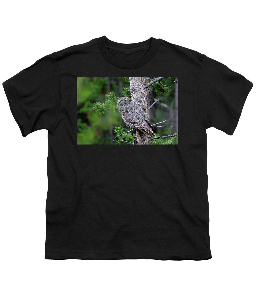 Owl Youth T-Shirt featuring the photograph Great Gray Owl by Ronnie And Frances Howard