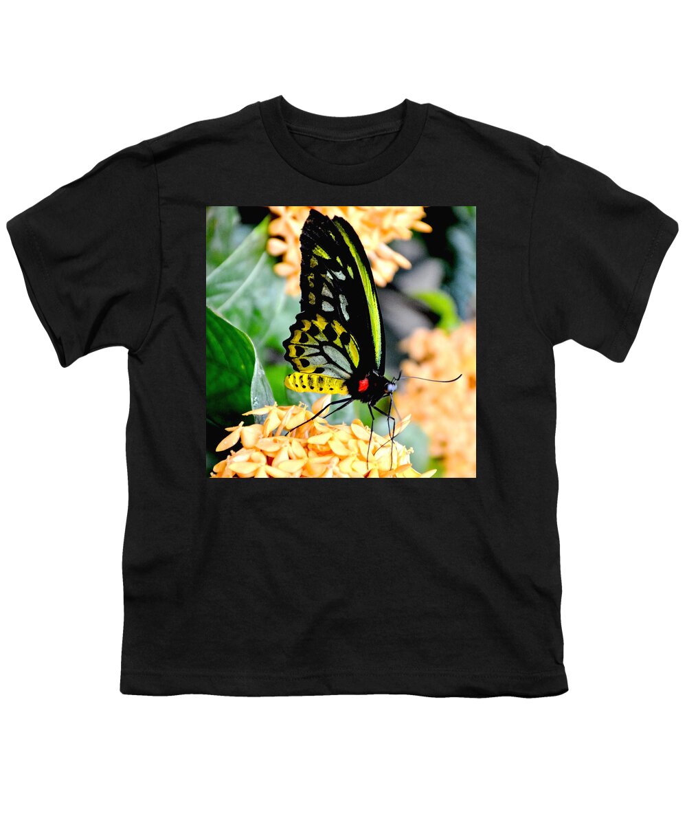 Nature Youth T-Shirt featuring the photograph Great Mormon Butterfly by Amy McDaniel