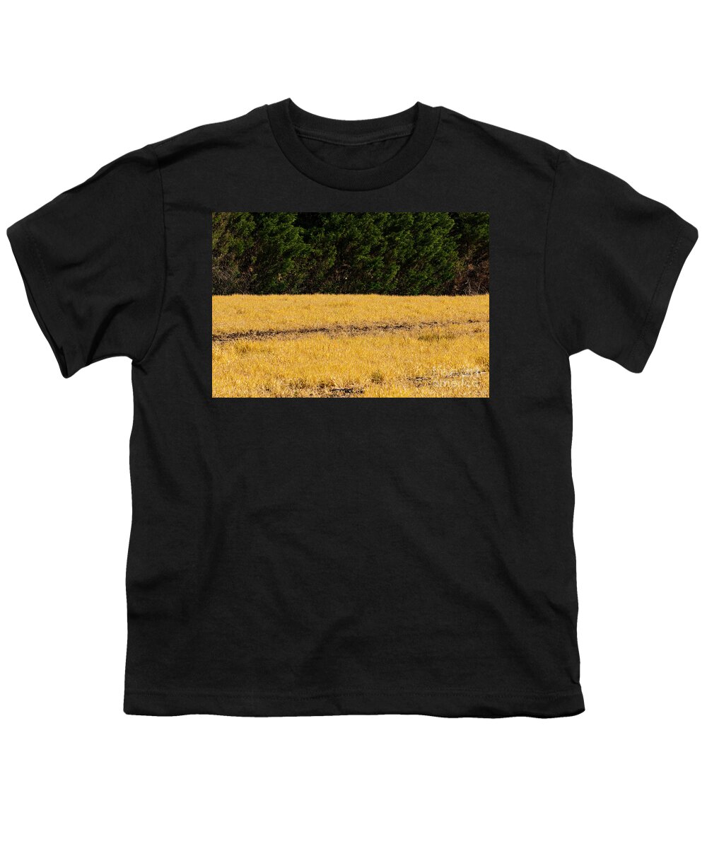 Fairplay Youth T-Shirt featuring the photograph Green and Gold by Bob Phillips