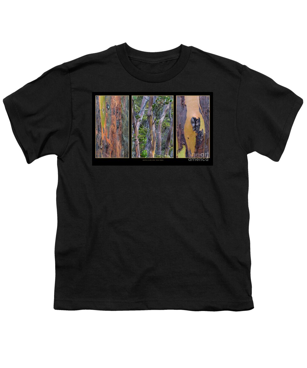 Australia Youth T-Shirt featuring the photograph Gum Trees at Lake St Clair by Werner Padarin