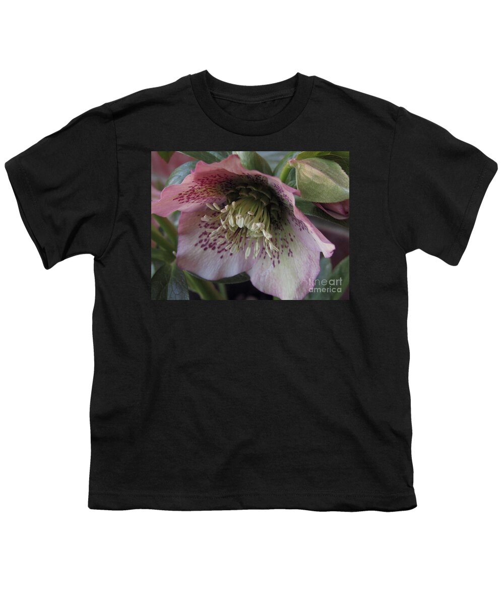 Hellebore. Pink Hellebore Youth T-Shirt featuring the photograph Hellebore Beauty 4 by Kim Tran