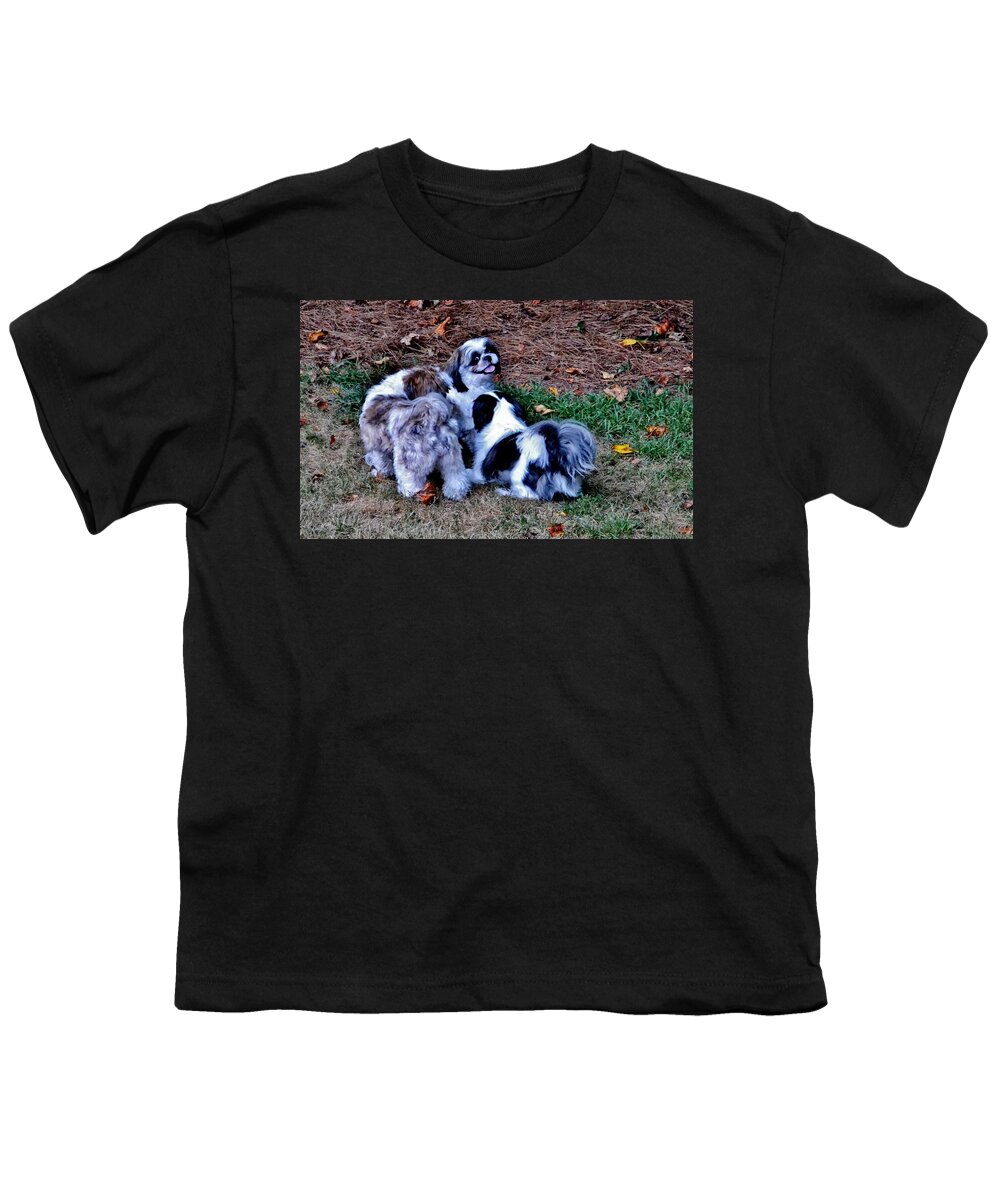 Dogs Youth T-Shirt featuring the photograph Hi Guys by Eileen Brymer