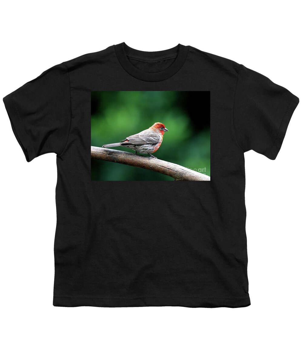 Bird Youth T-Shirt featuring the photograph House Finch . 40D7227 by Wingsdomain Art and Photography