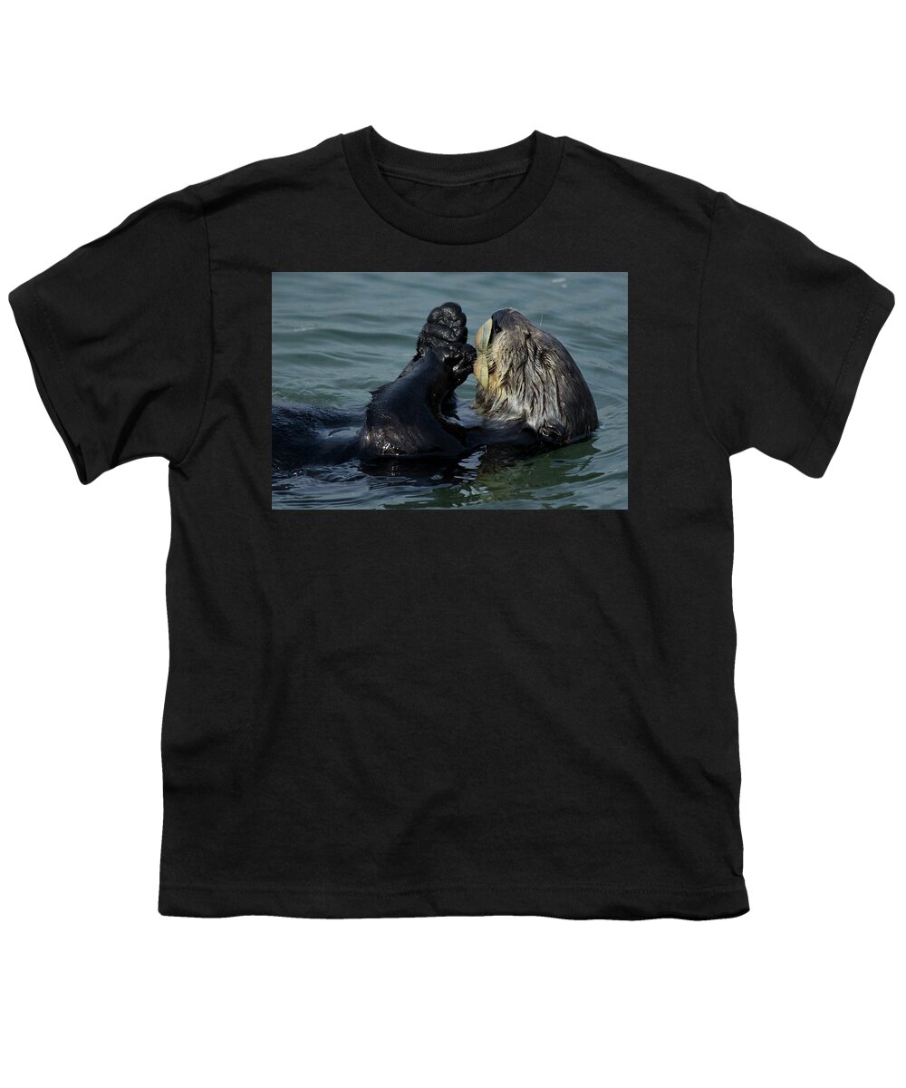 Sea Otter Youth T-Shirt featuring the photograph Hungry Sea Otter by Morgan Wright