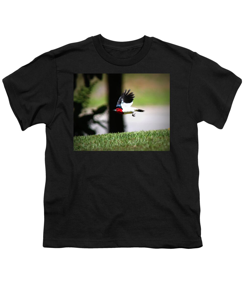  Red-headed Woodpecker Youth T-Shirt featuring the photograph IMG_9193-001 - Red-headed Woodpecker by Travis Truelove