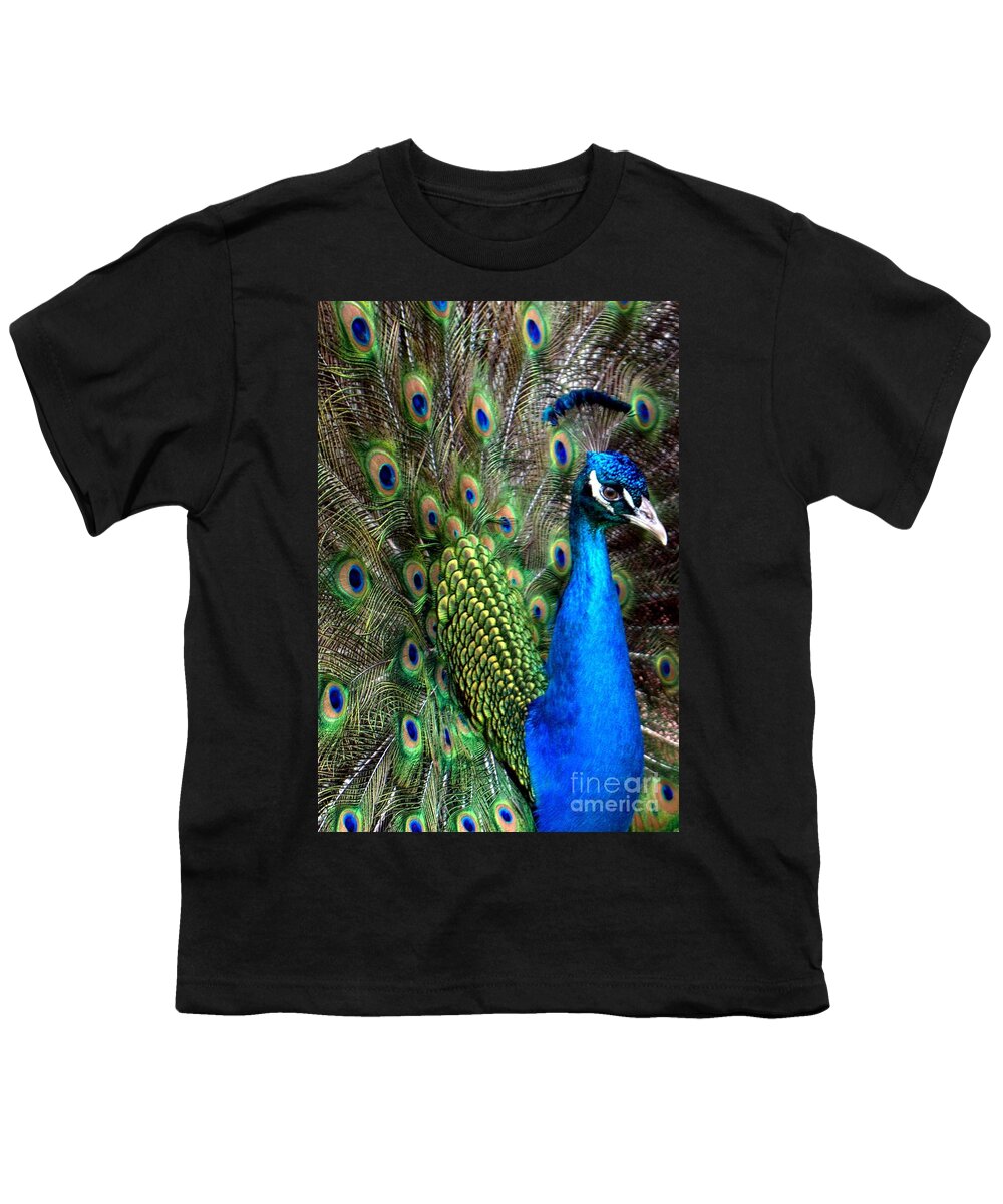 Indian Peacock Youth T-Shirt featuring the photograph Indian Peacock II by Lilliana Mendez