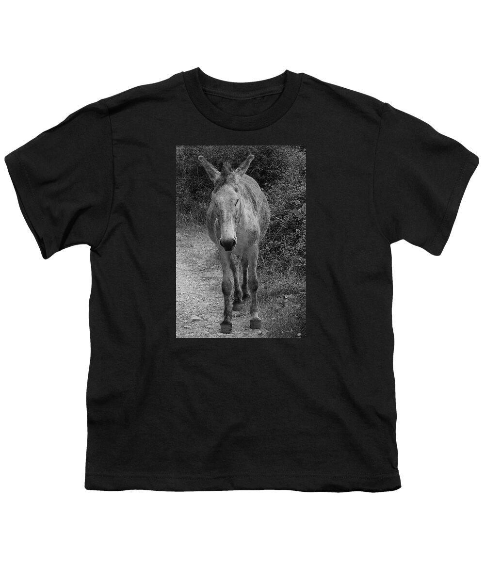 Donkey Youth T-Shirt featuring the photograph Lonely Donkey by Jeff Townsend