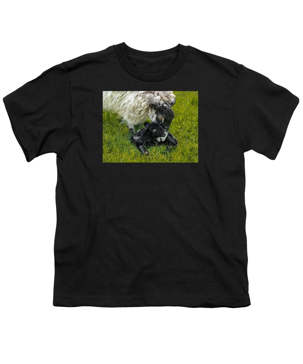 Birds & Animals Youth T-Shirt featuring the photograph Just Born by Nick Bywater