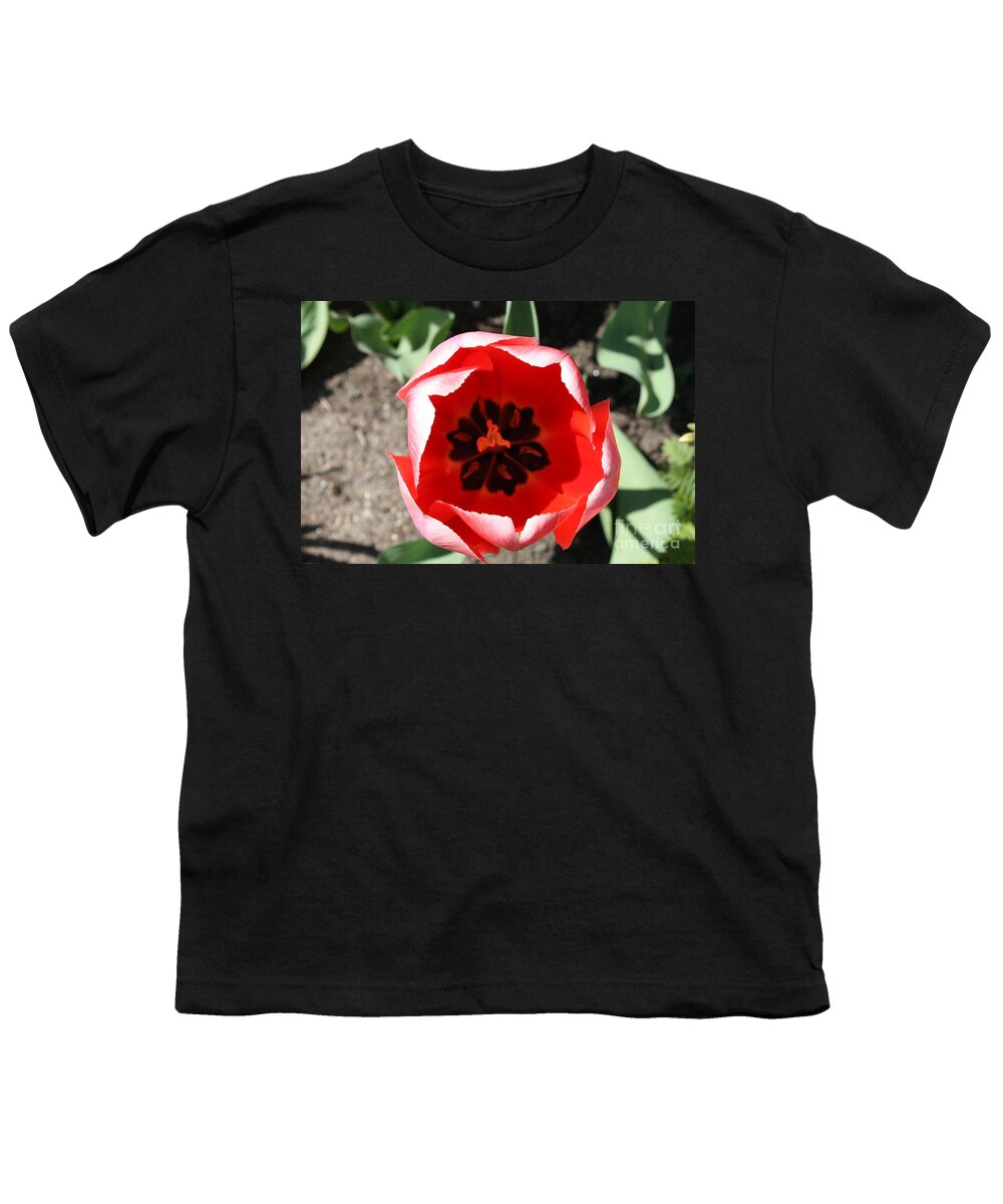 Macro Red Tulip Youth T-Shirt featuring the photograph Macro Red Tulip by John Telfer
