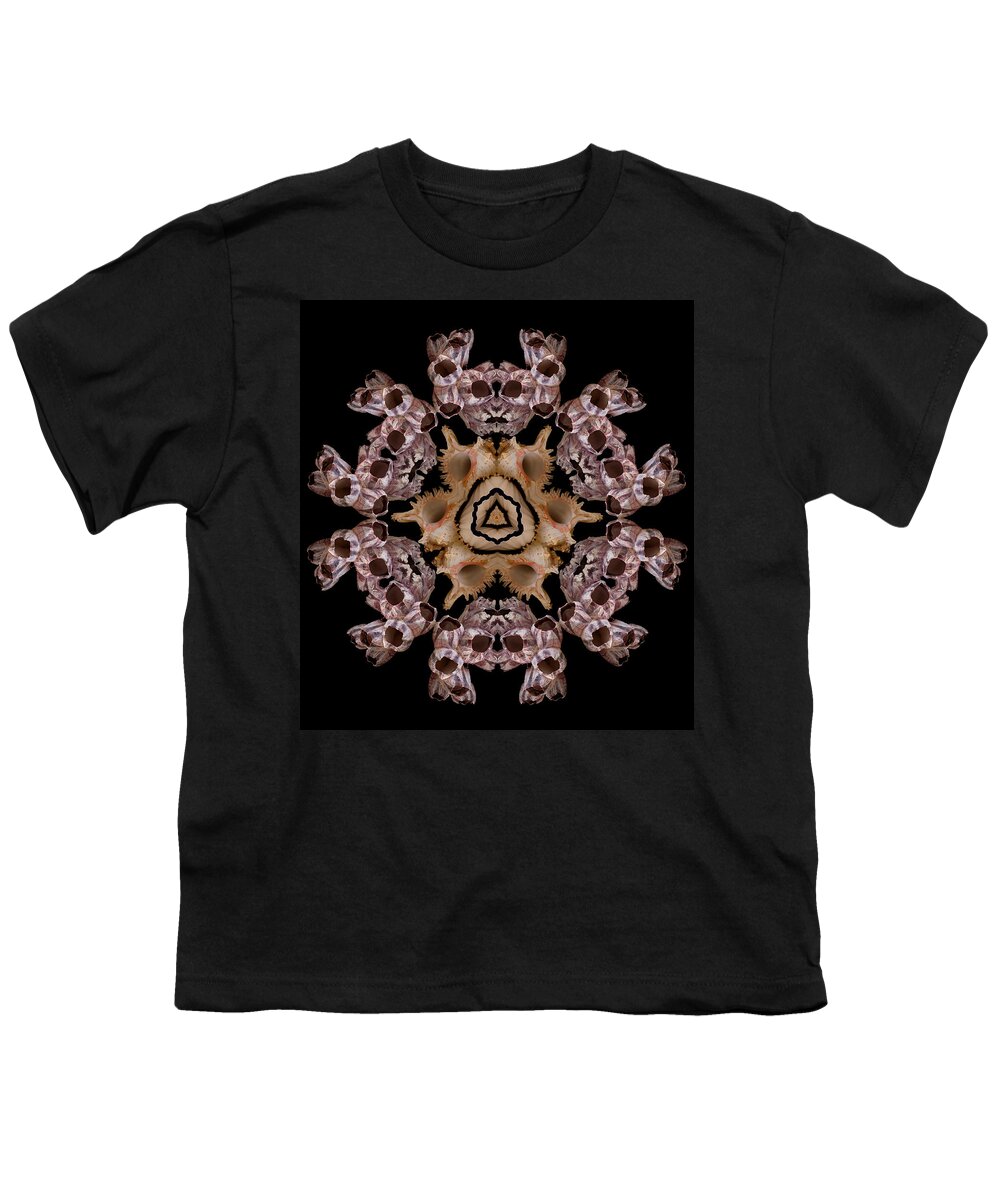 Shells Youth T-Shirt featuring the photograph Mandala Murex and Barnacle by Nancy Griswold